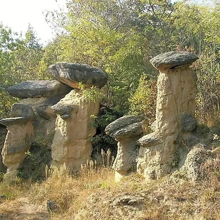 Il Barucin Villar San Costanzo