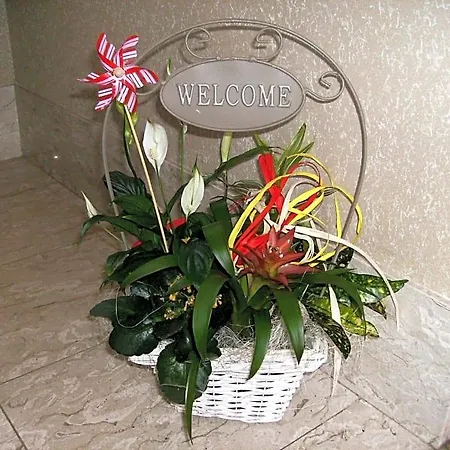 Bed & Breakfast Il Barucin 3*