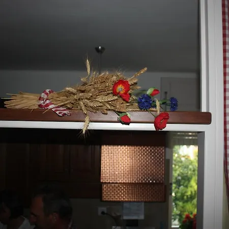 Il Barucin Villar San Costanzo